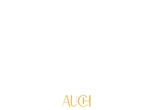 Hôtel de France (Auch)