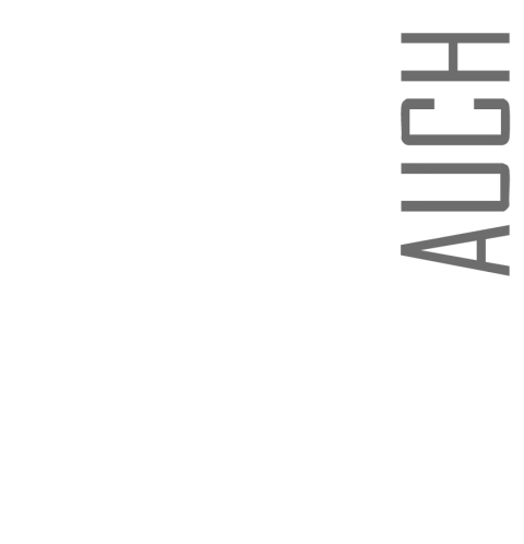 Musée des Amériques (Auch)